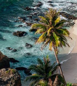 Ecuador-Reizen